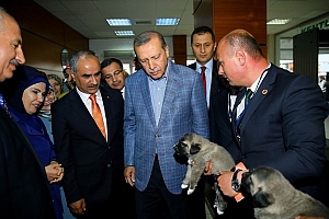  Cumhurbaşkanı'na kangal yavrusu