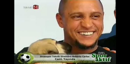  Roberto Carlos a kangal yavrusu